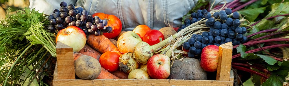 OBTENER ALIMENTOS DE PROVEEDORES LOCALES